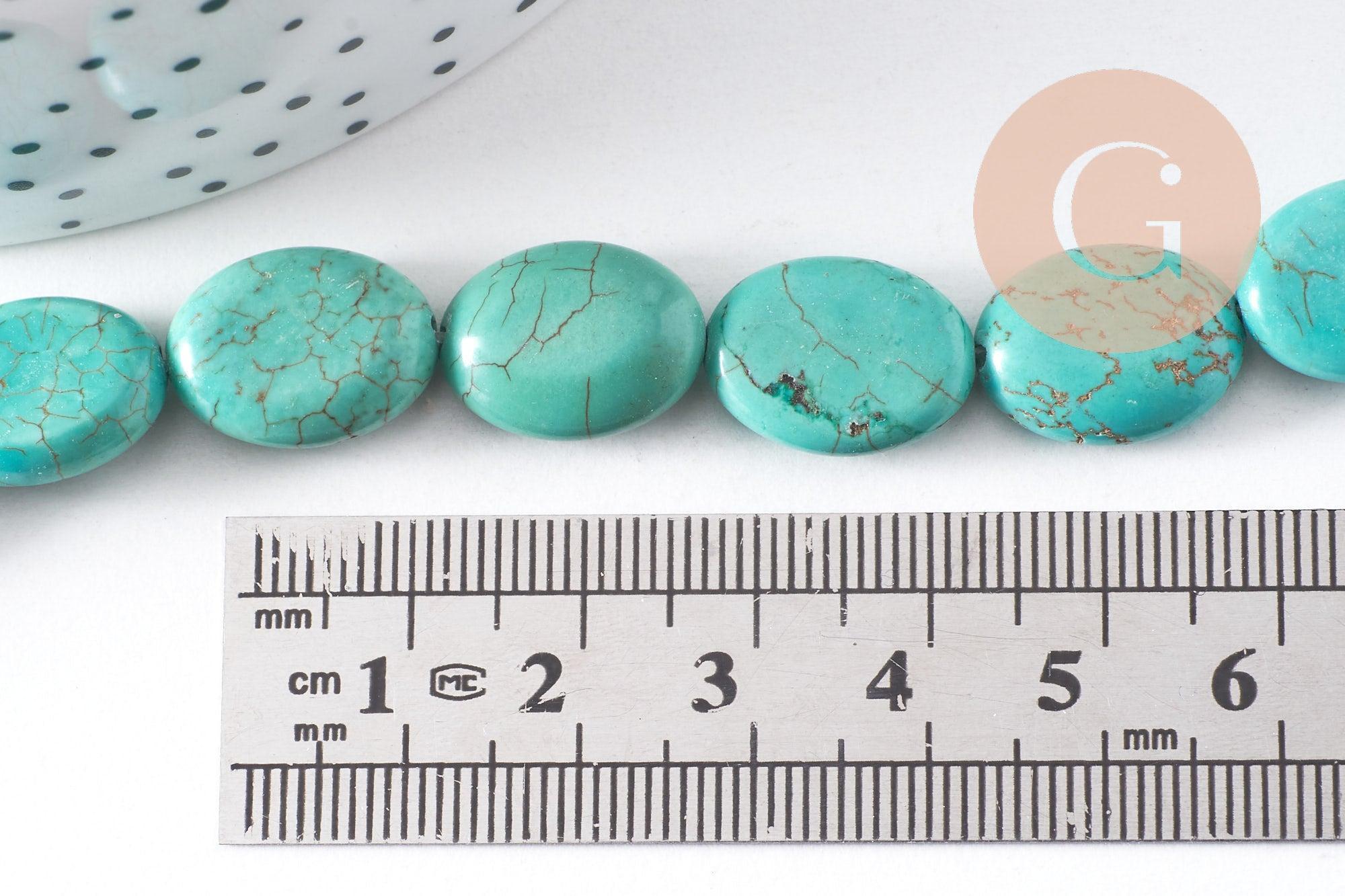 Gingerlily howlite turquoise G8192 perles pierre 12-18mm x5