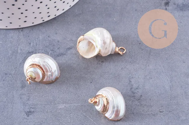 Gingerlily pendentif coquillage naturel conch 25-30mm x1 doré