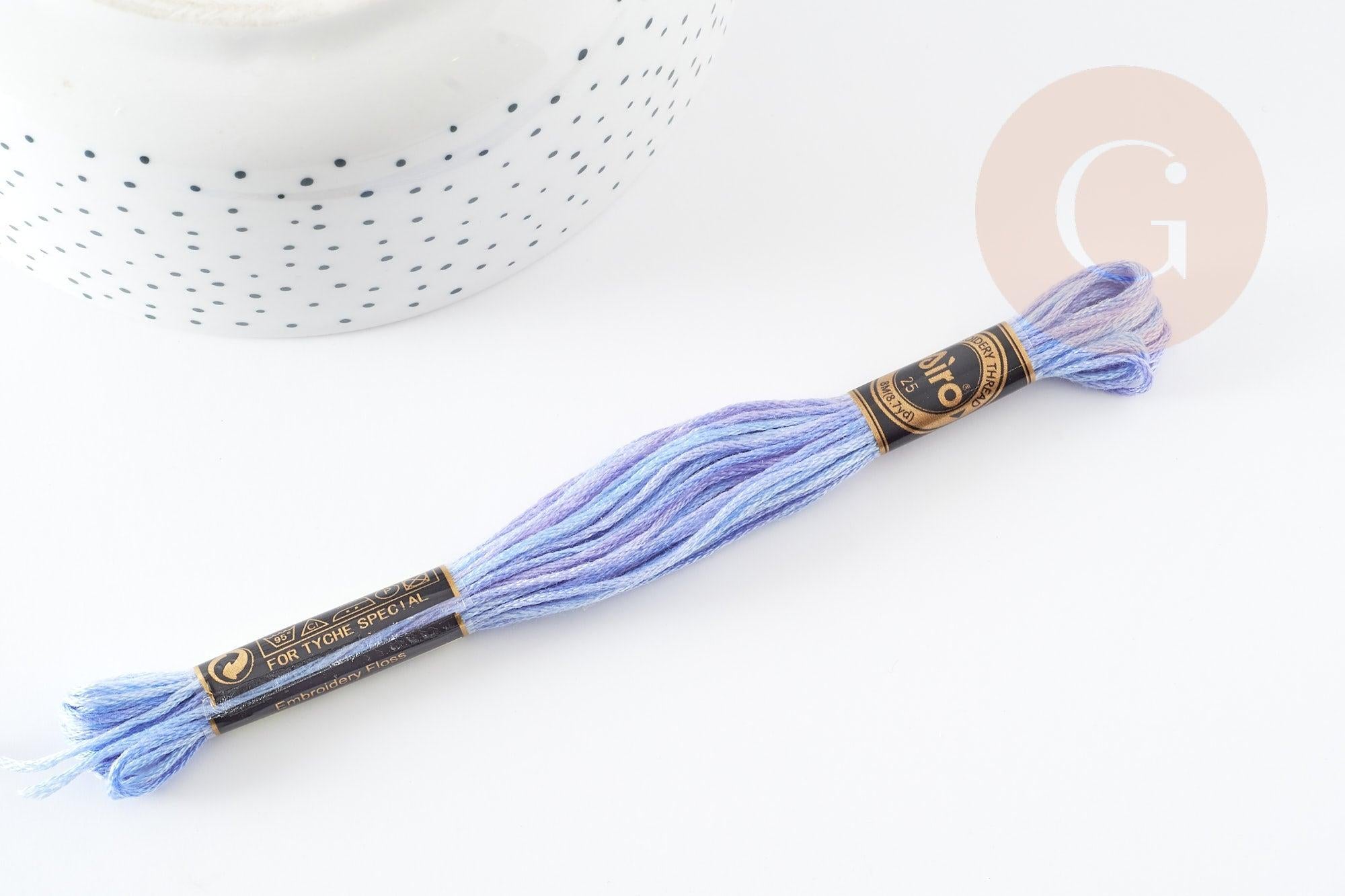 Gingerlily Cordons DIY Fil à broder dégradé bleu violet 8 m