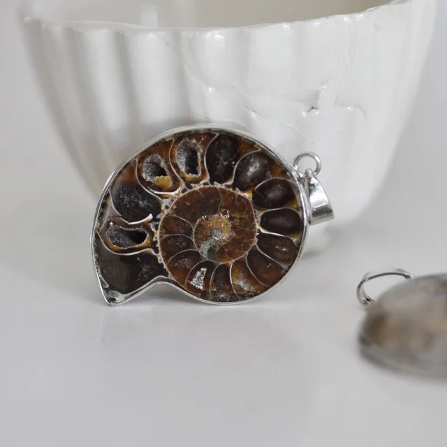 Gingerlily pendentif coquillage naturel marron fossile 45mm