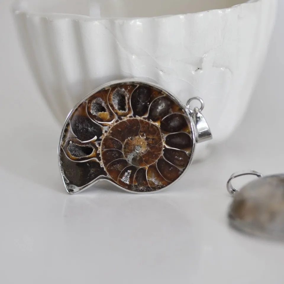 Gingerlily pendentif coquillage naturel marron fossile 45mm