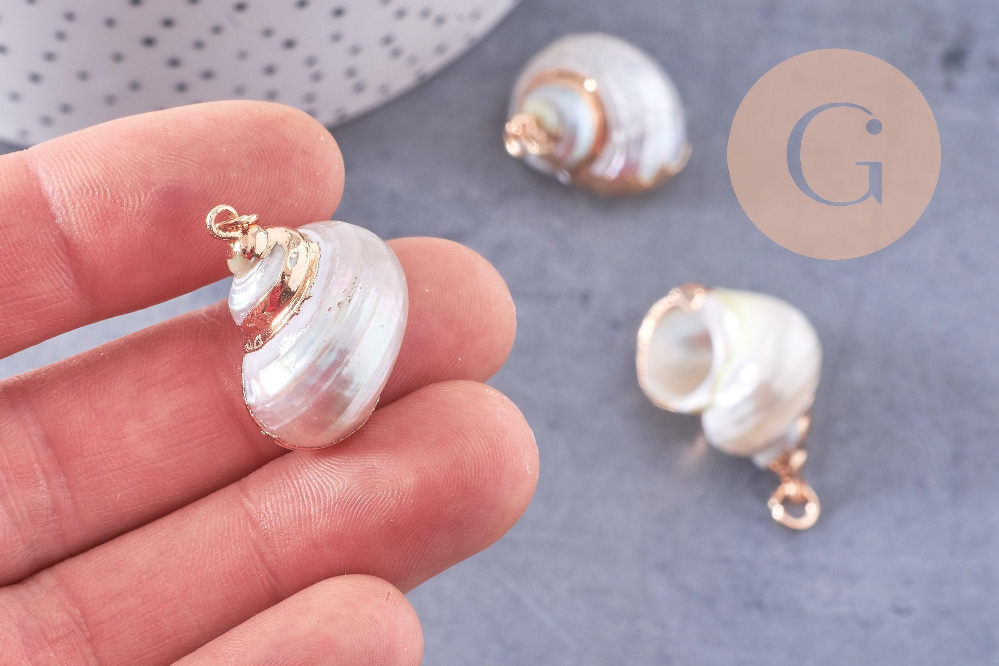 Gingerlily pendentif coquillage naturel conch 25-30mm x1 doré
