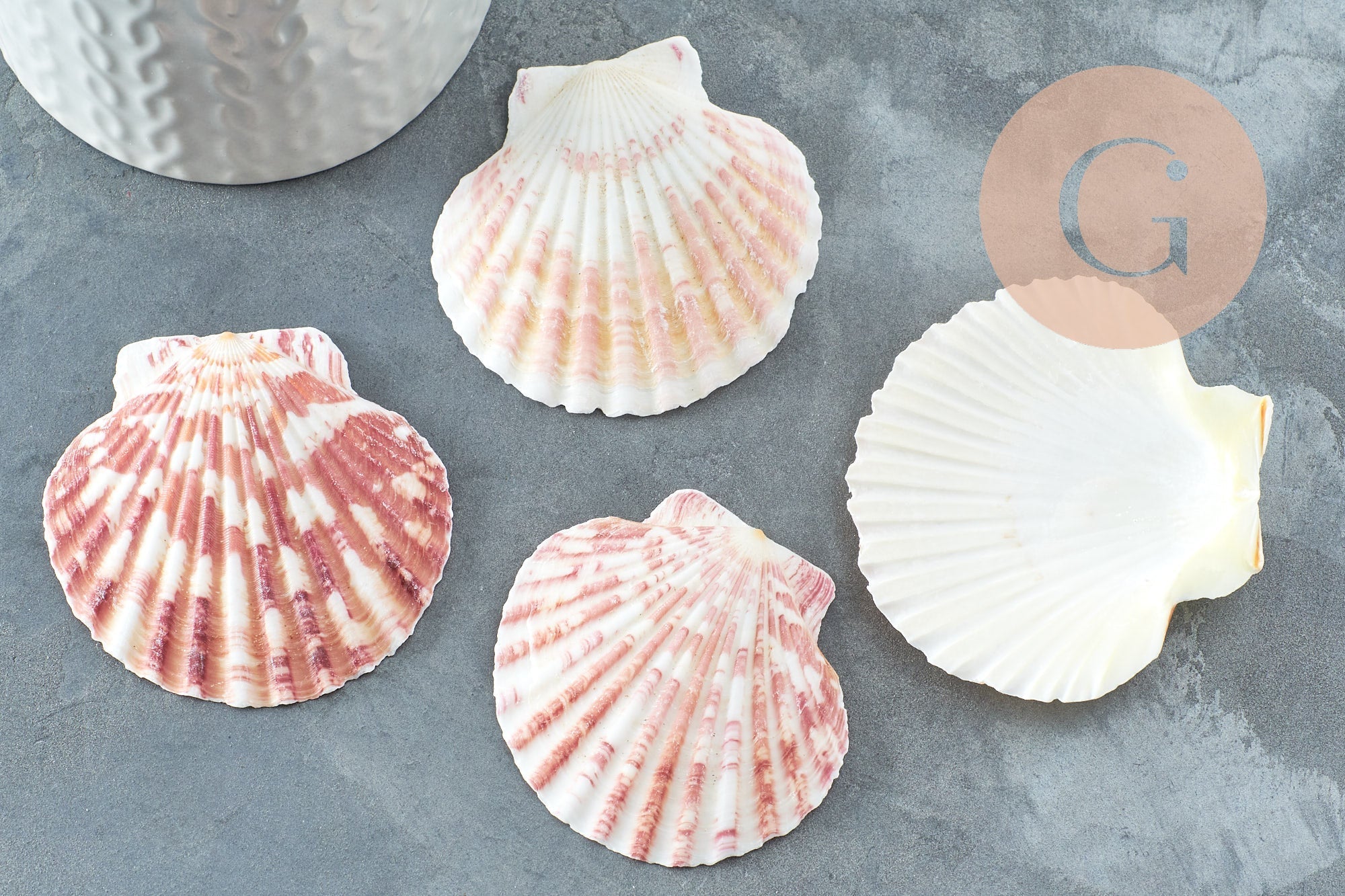 Gingerlily Coquillage G4811 coque blanc rose lot 2