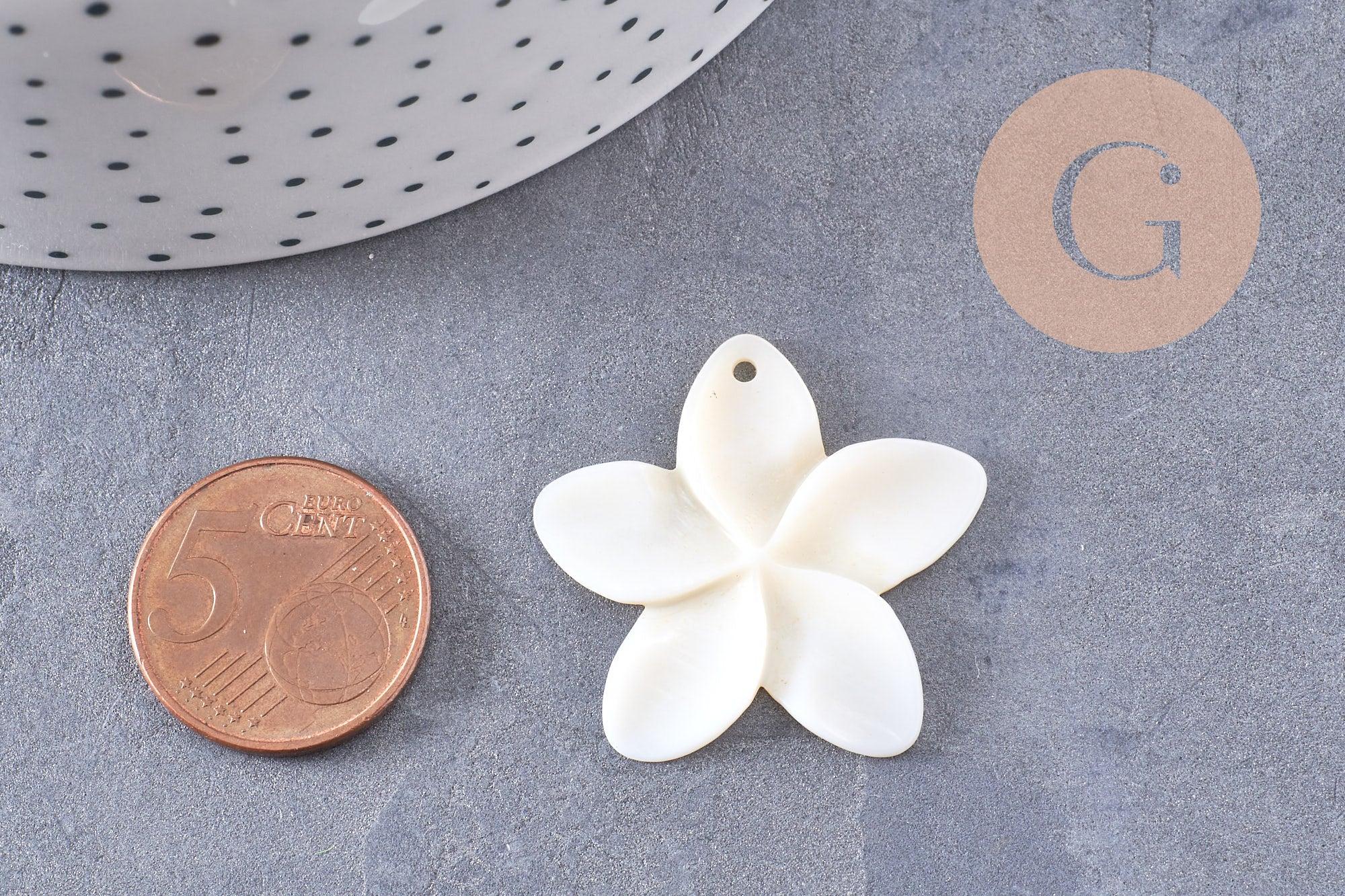 Gingerlily Perles pendentif fleur nacre blanche 32mm x2
