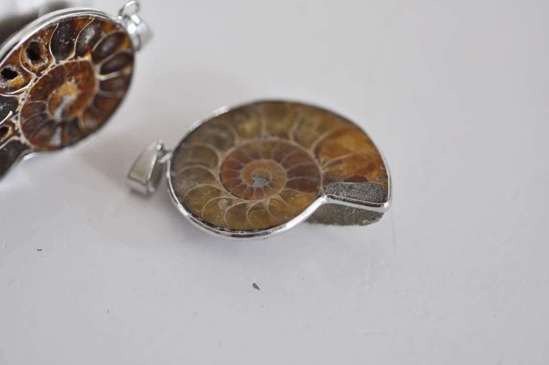 Gingerlily pendentif coquillage naturel marron fossile 45mm