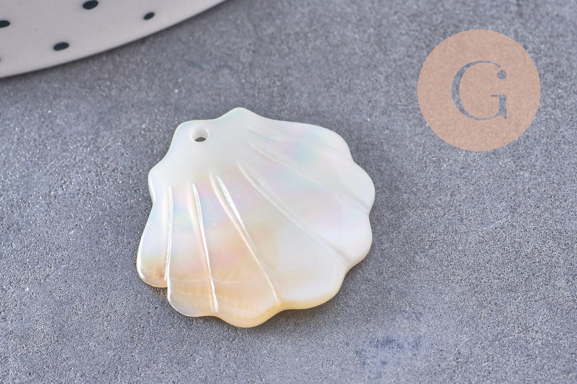 Gingerlily G10224 pendentif coquillage nacre blanche 21mm x2