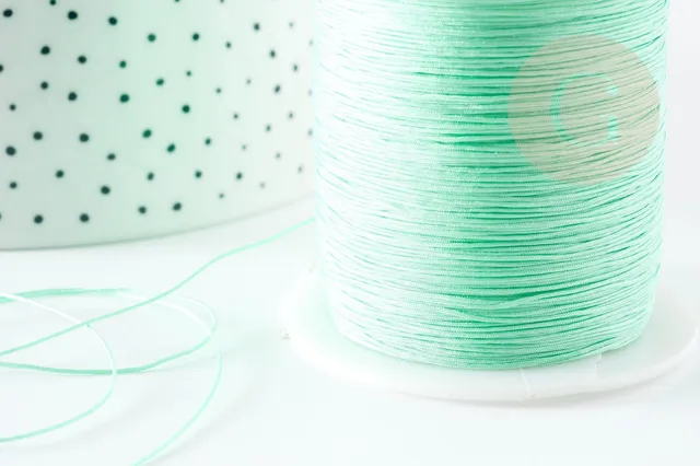 Gingerlily Cordon vert clair polyester 0,5 mm 1 mètre