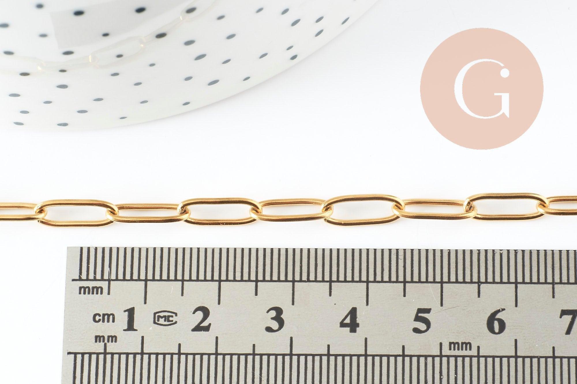 Gingerlily Chaînes Collier Chaîne Acier Doré 55cm G9407 x1