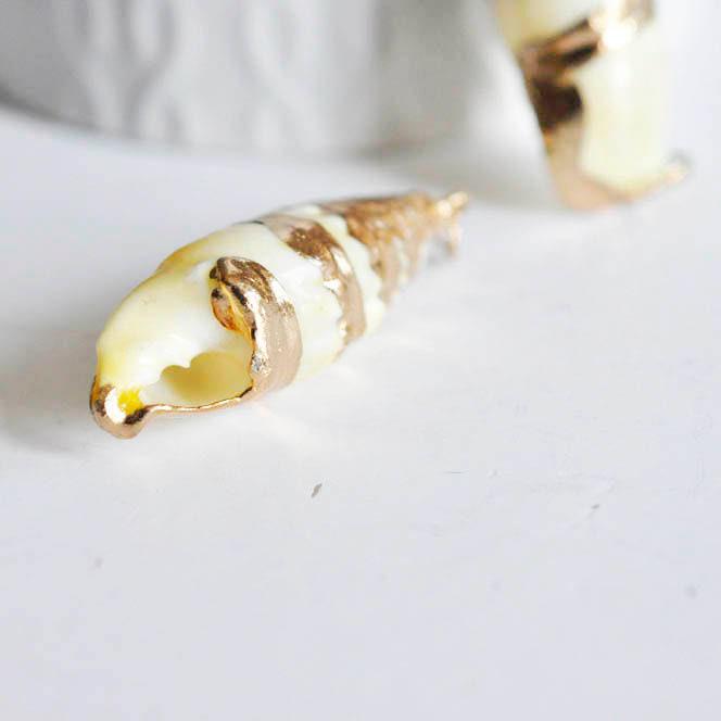 Gingerlily Perles G667 pendentif coquillage doré 40mm naturel
