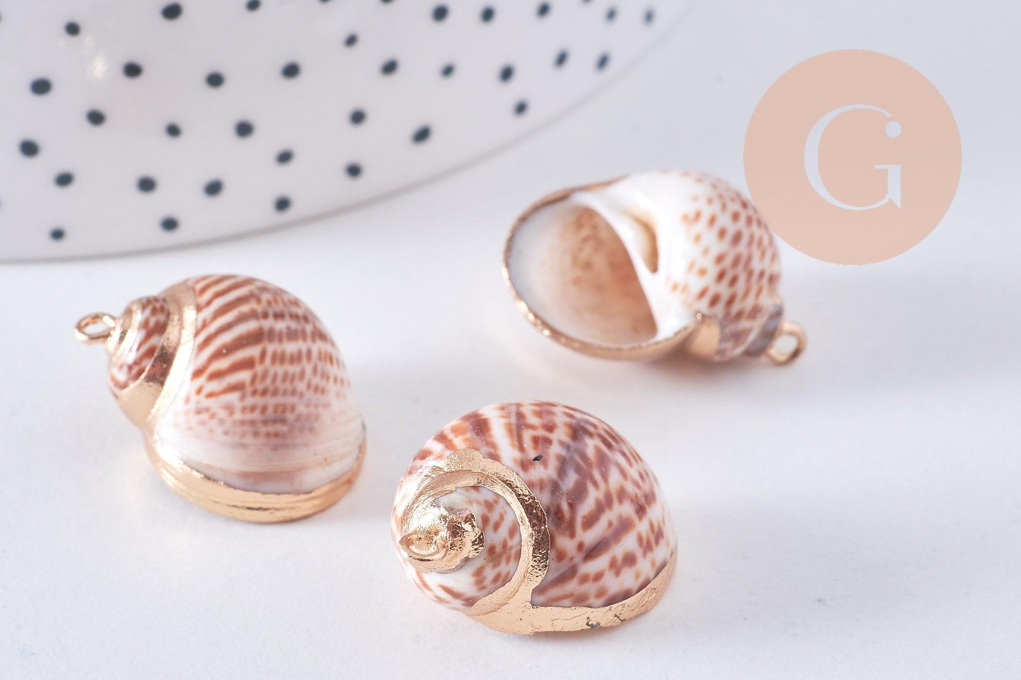 Gingerlily G0708 pendentif coquillage naturel doré 30mm x1