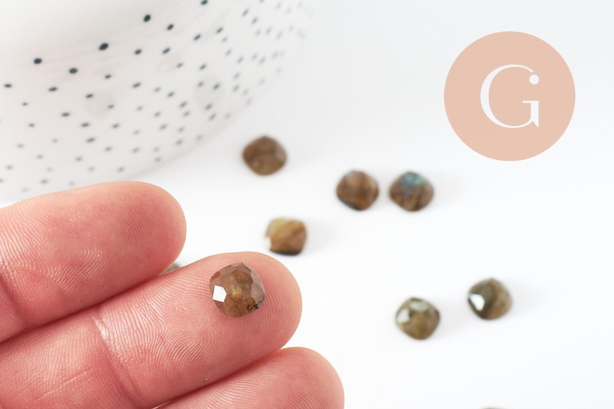 Gingerlily cabochon carré labradorite 8x8mm x1 facetté
