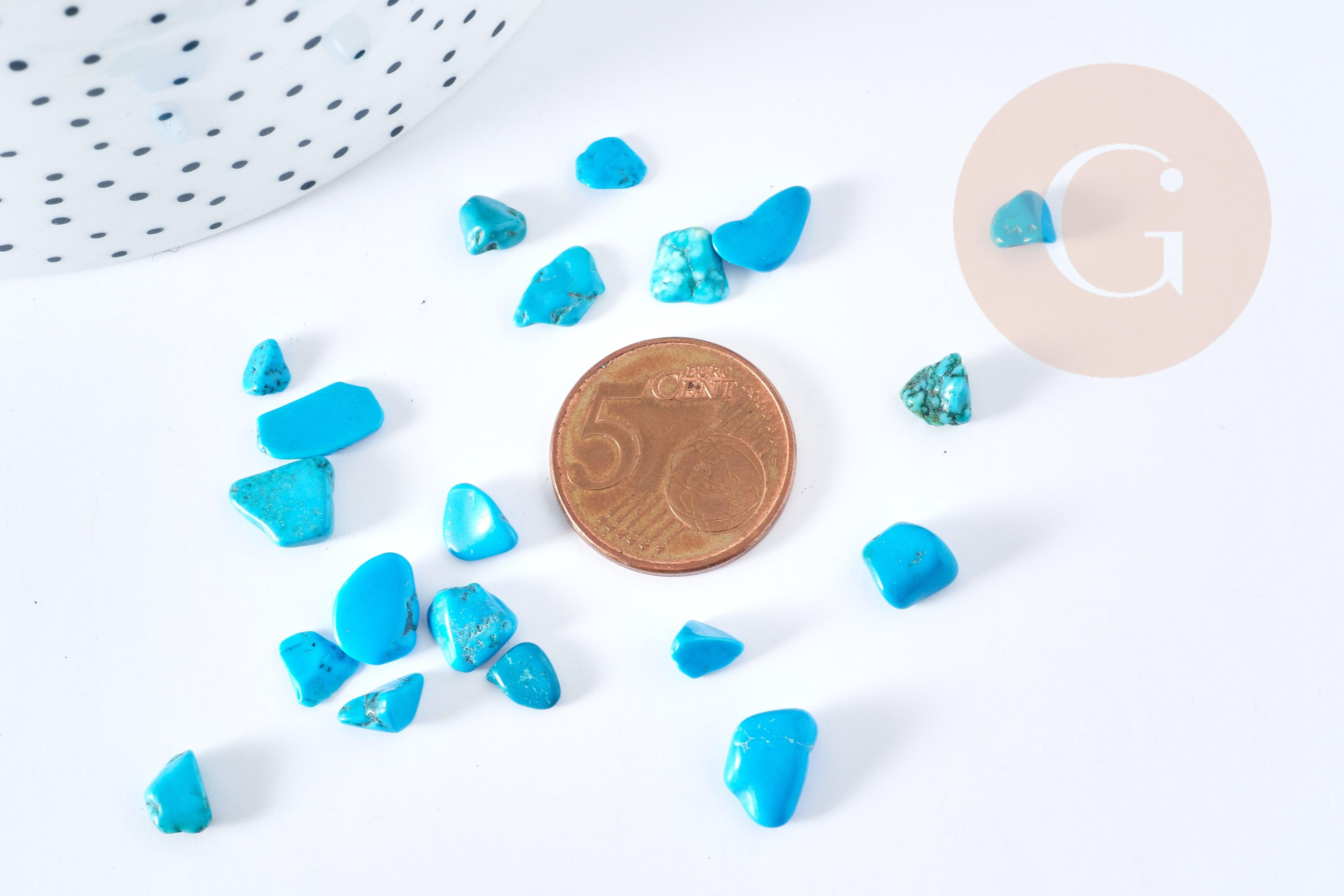 Gingerlily Pierres Howlite turquoise chips 5-10mm 20g