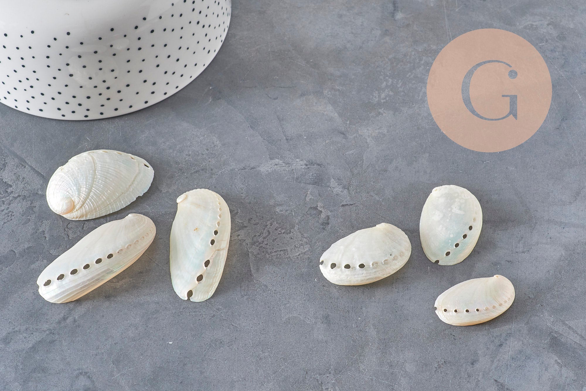Gingerlily Pendentifs Haliotis Asinina pendentif coquillage nacré grand x1