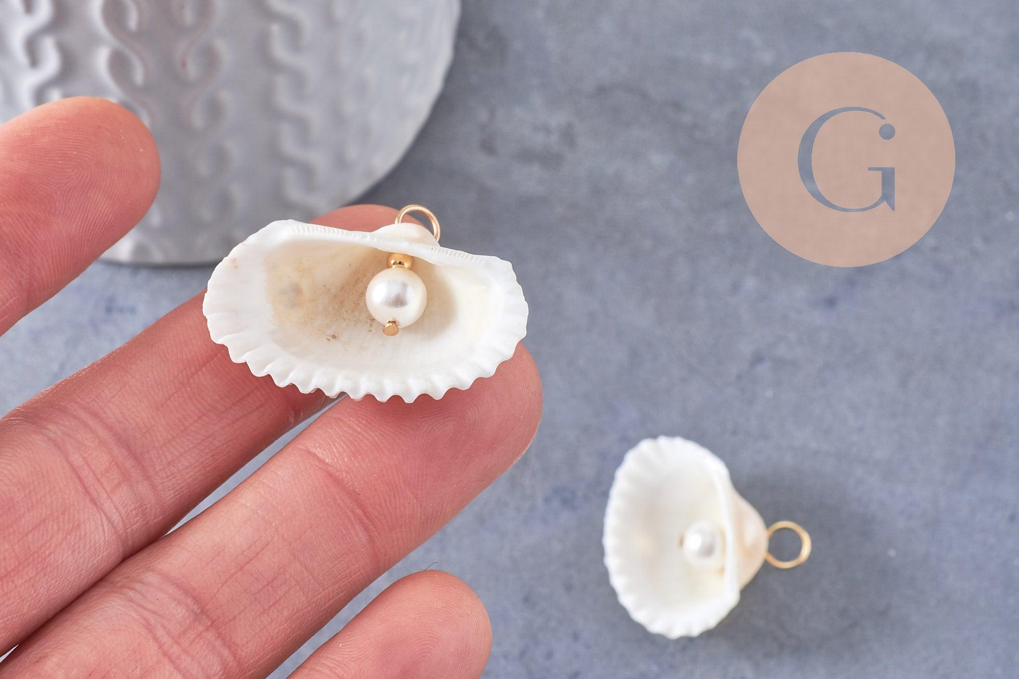 Gingerlily Pendentifs G10277 pendentif coquillage blanc x2 Grand
