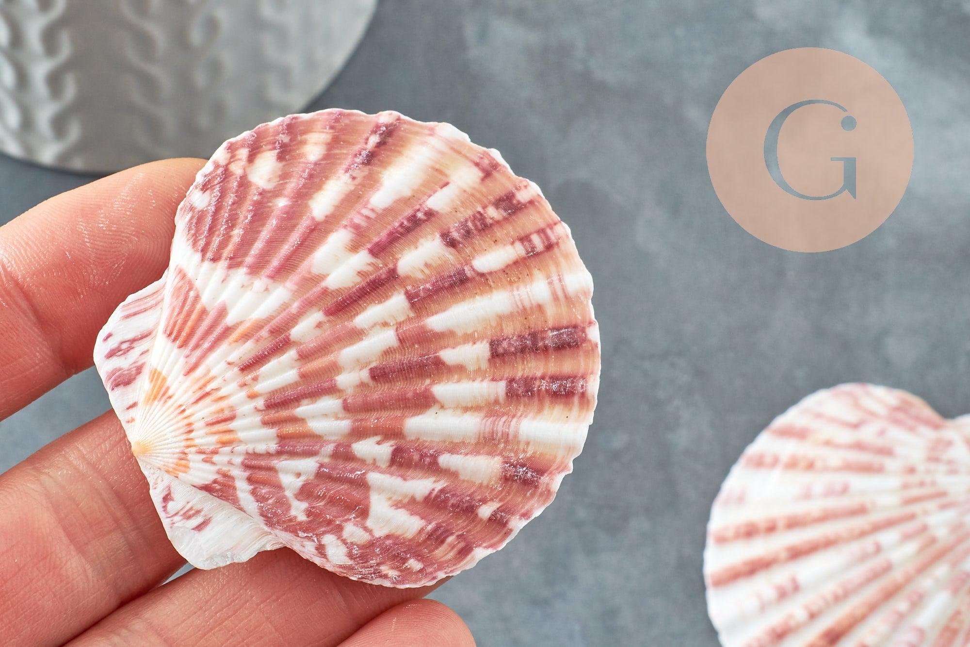 Gingerlily Coquillage G4811 coque blanc rose lot 2