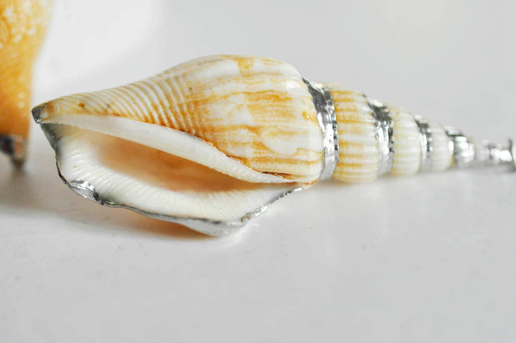 Gingerlily Perles G1498 pendentif coquillage Conch 58mm