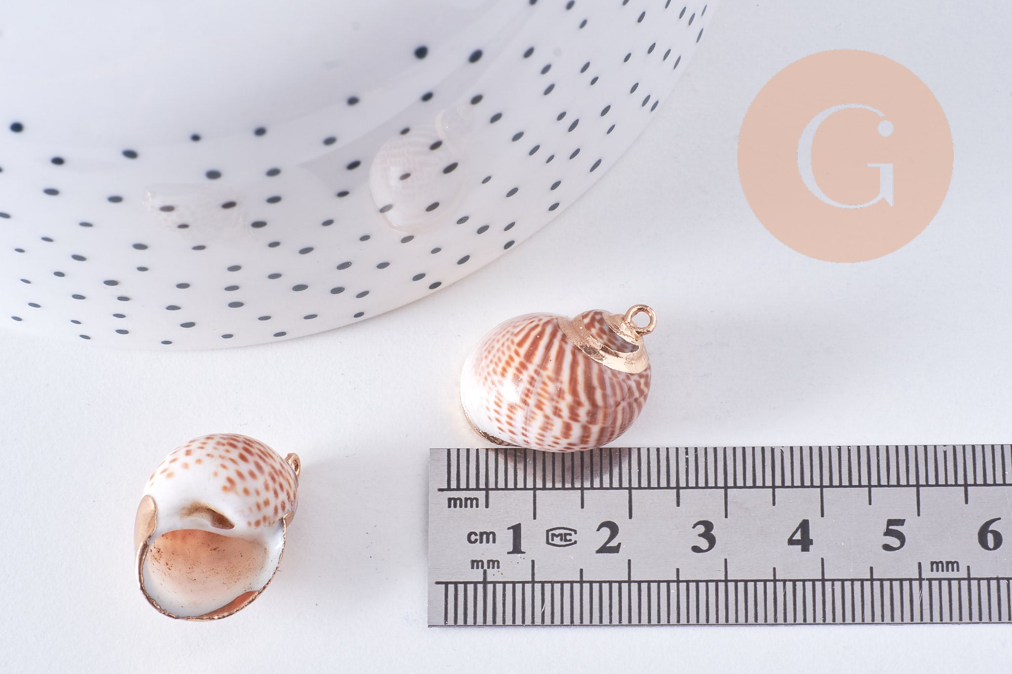 Gingerlily G0708 pendentif coquillage naturel doré 30mm x1