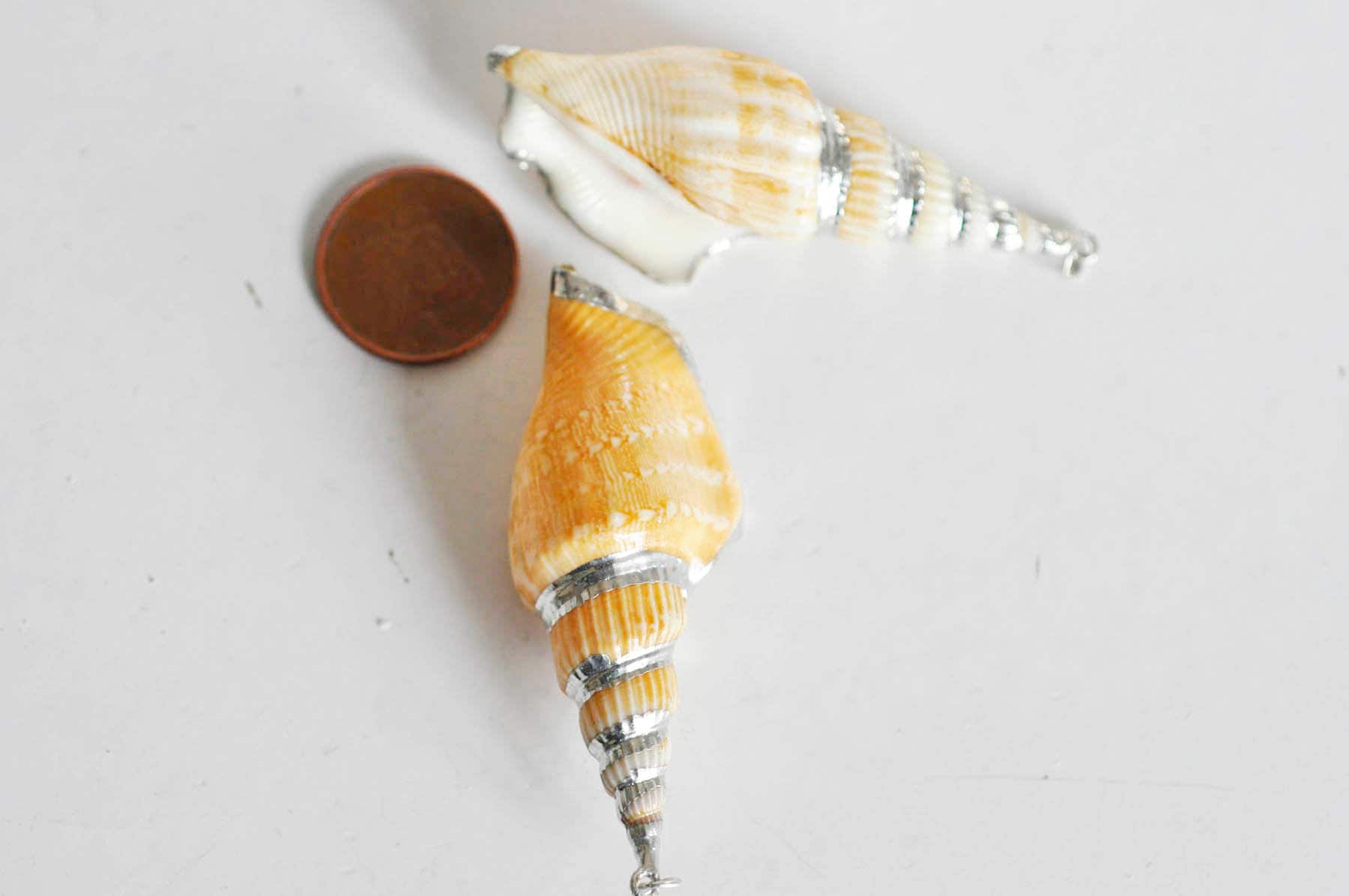 Gingerlily Perles G1498 pendentif coquillage Conch 58mm