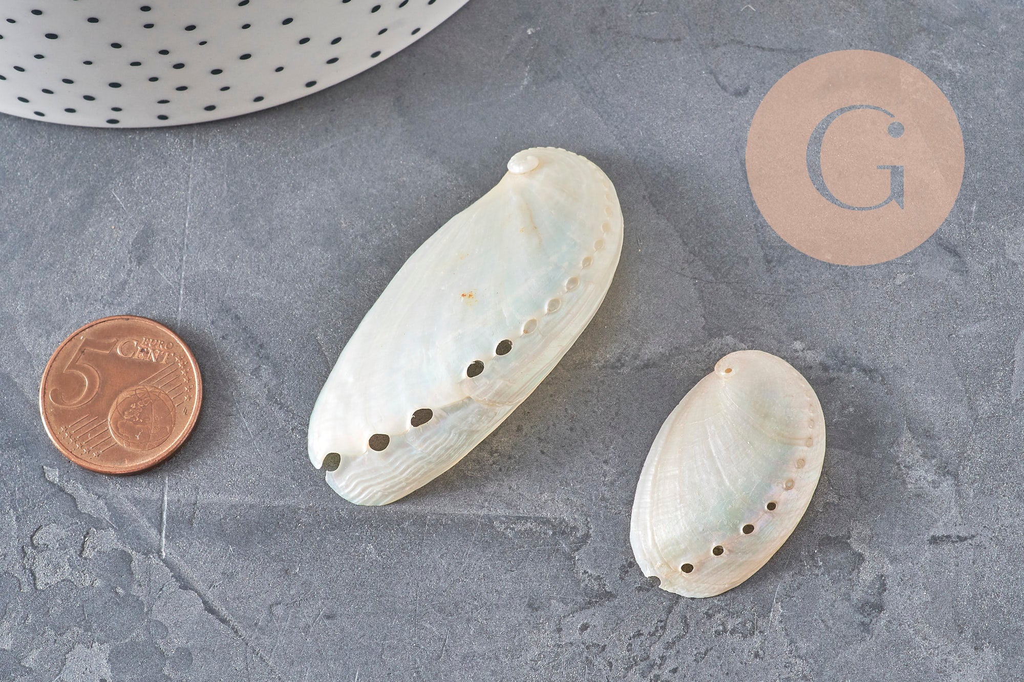 Gingerlily Pendentifs Haliotis Asinina pendentif coquillage nacré grand x1