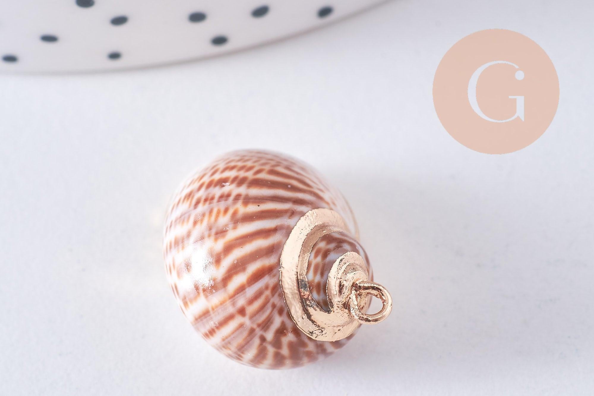 Gingerlily G0708 pendentif coquillage naturel doré 30mm x1