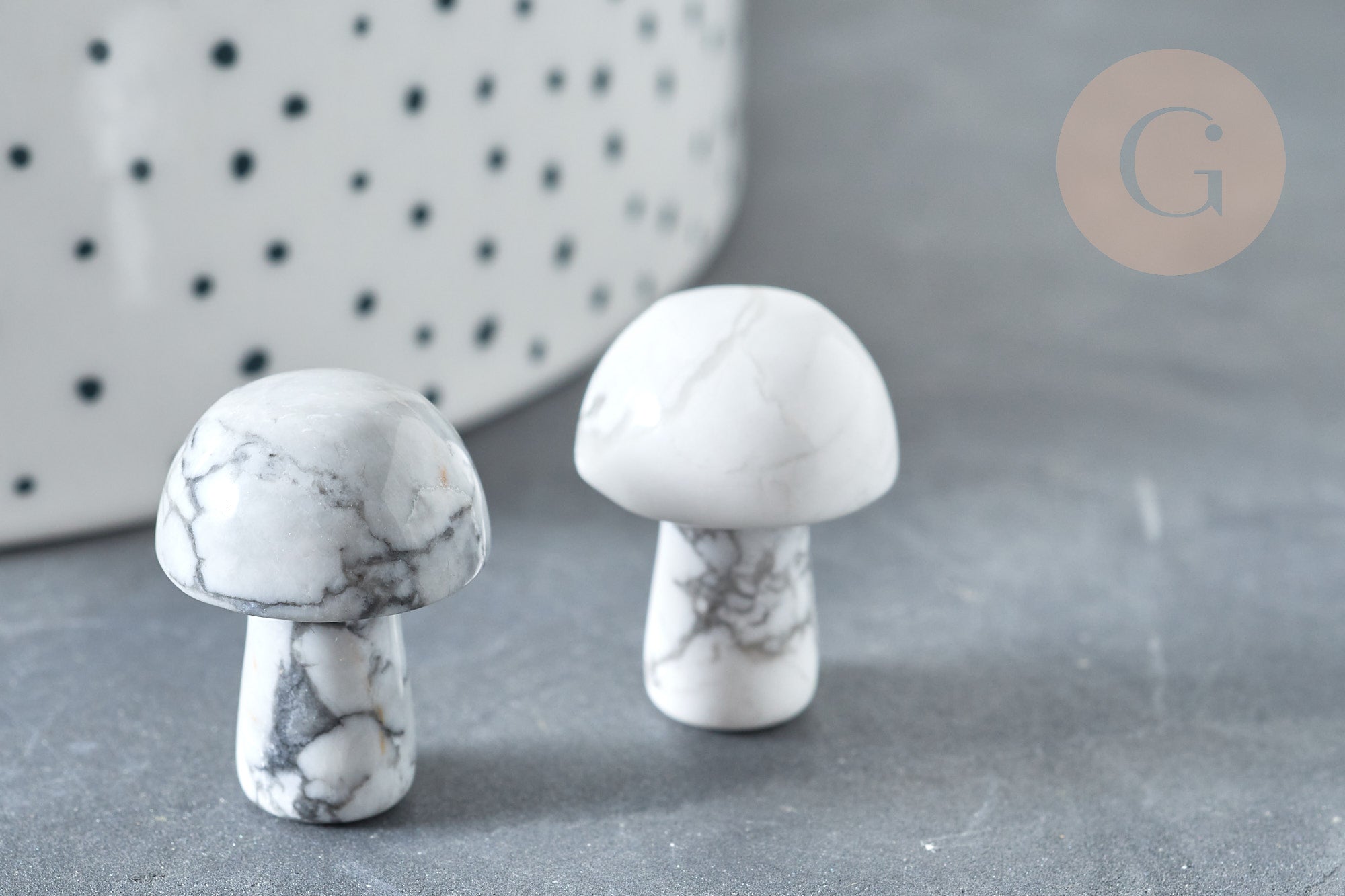 Gingerlily Pierres G7510 champignon massage howlite 21mm x1