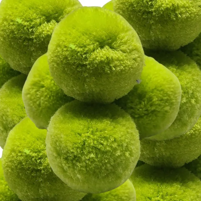 ARTSHOP Chouchous Balls pompon boule chèvrefeuille 40mm