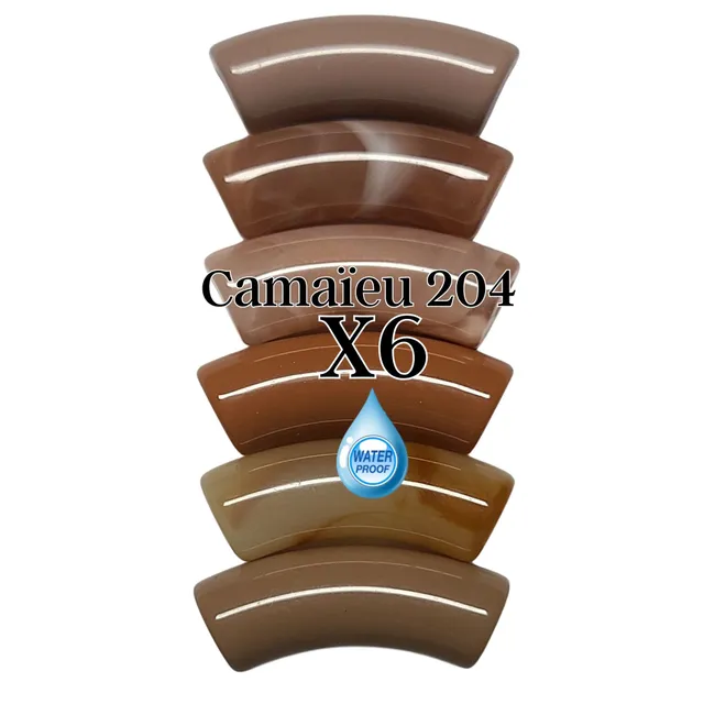 ARTSHOP Camaïeux 204 lot 6 tubes marron 12MM