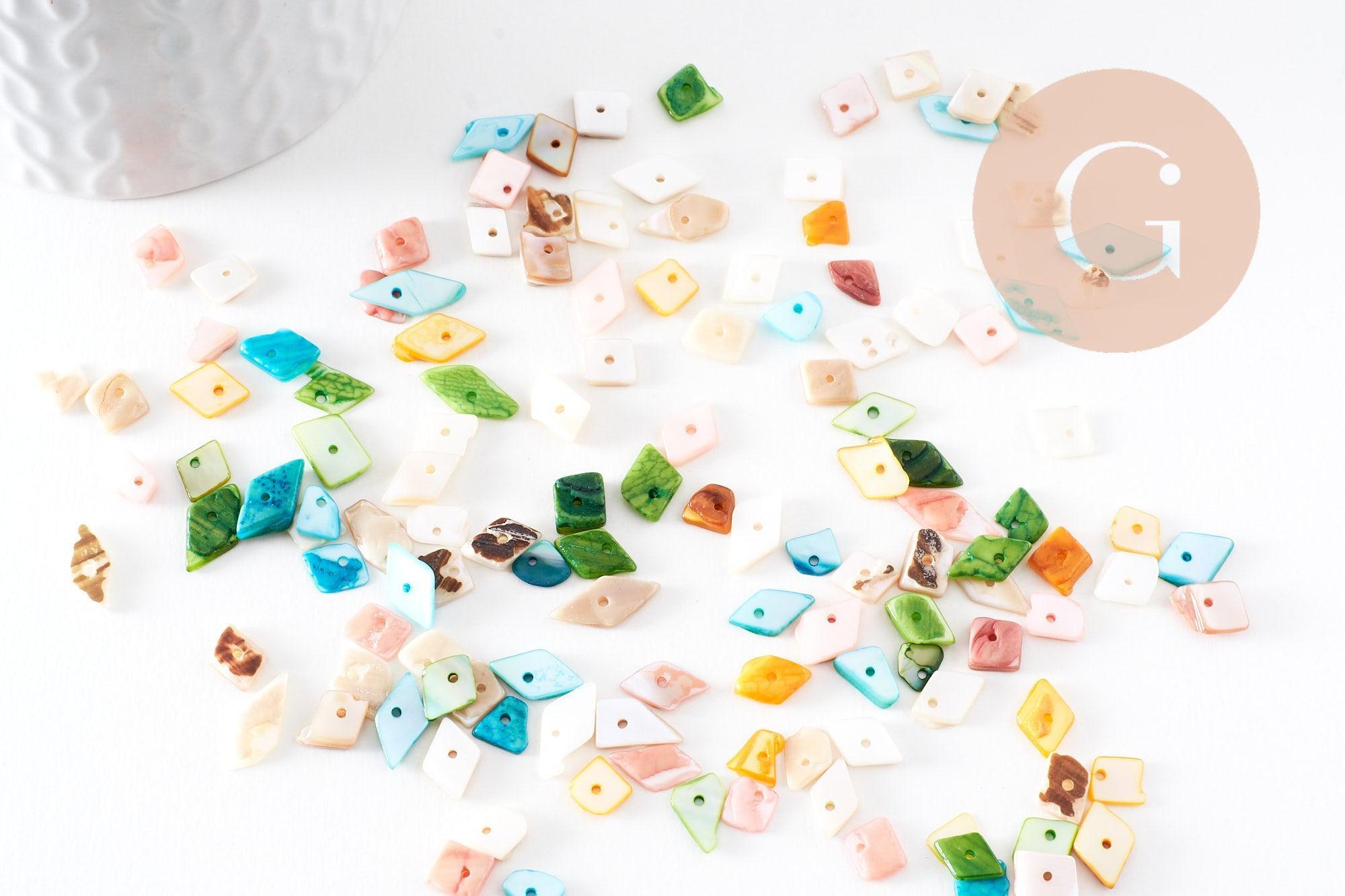 Gingerlily Perles chips coquillage G9972 multicolore 20g